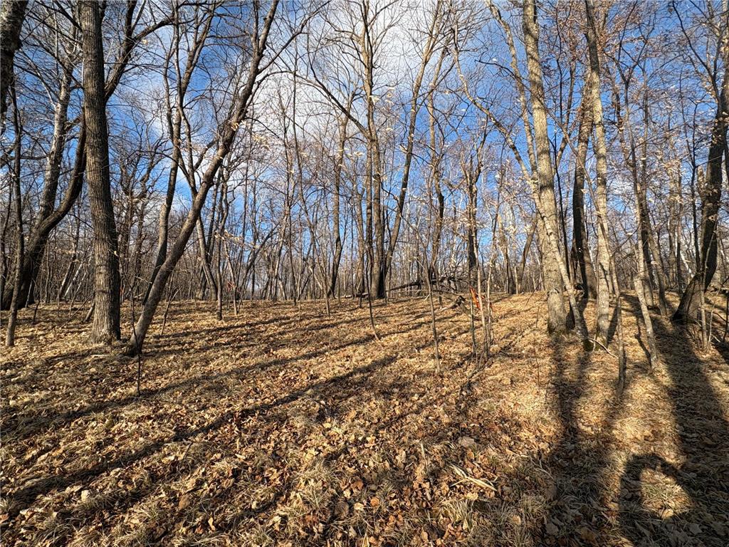 495XX Fish Lake Rd Pelican Rapids MN 56572 - Pelican 7048899 image8