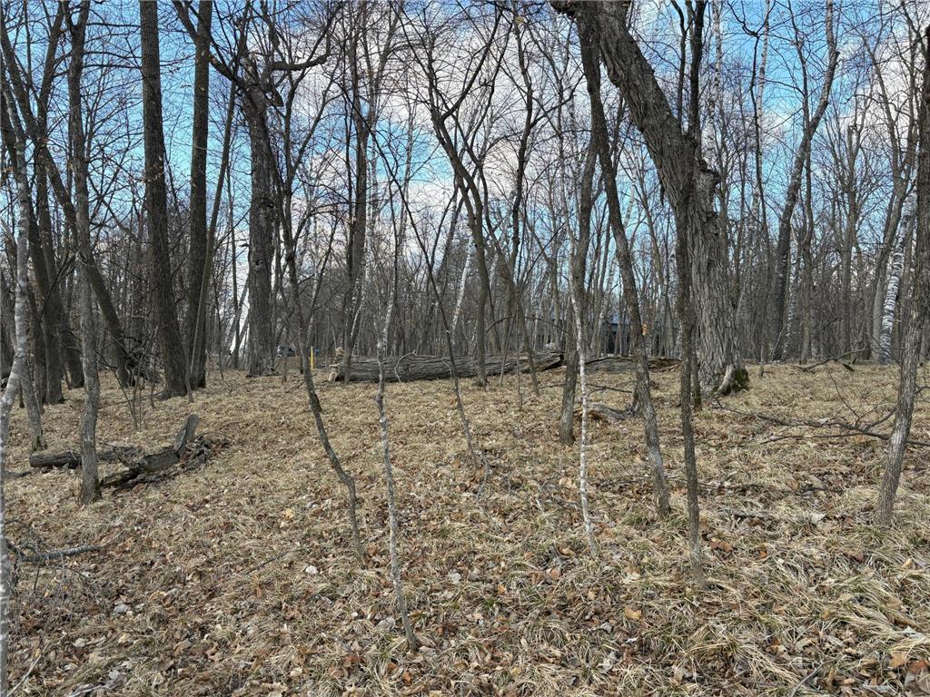 495XX Fish Lake Rd Pelican Rapids MN 56572 - Pelican 7048899 image9