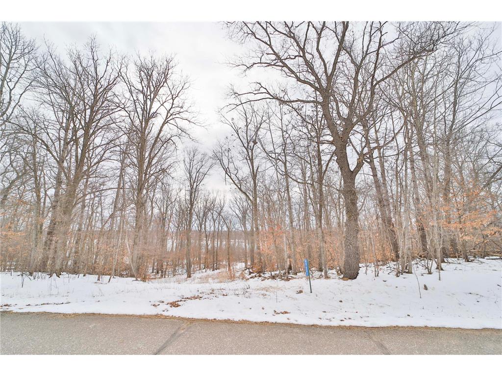 49601 Thunderbird Drive Staples MN 56479 6683016 image1