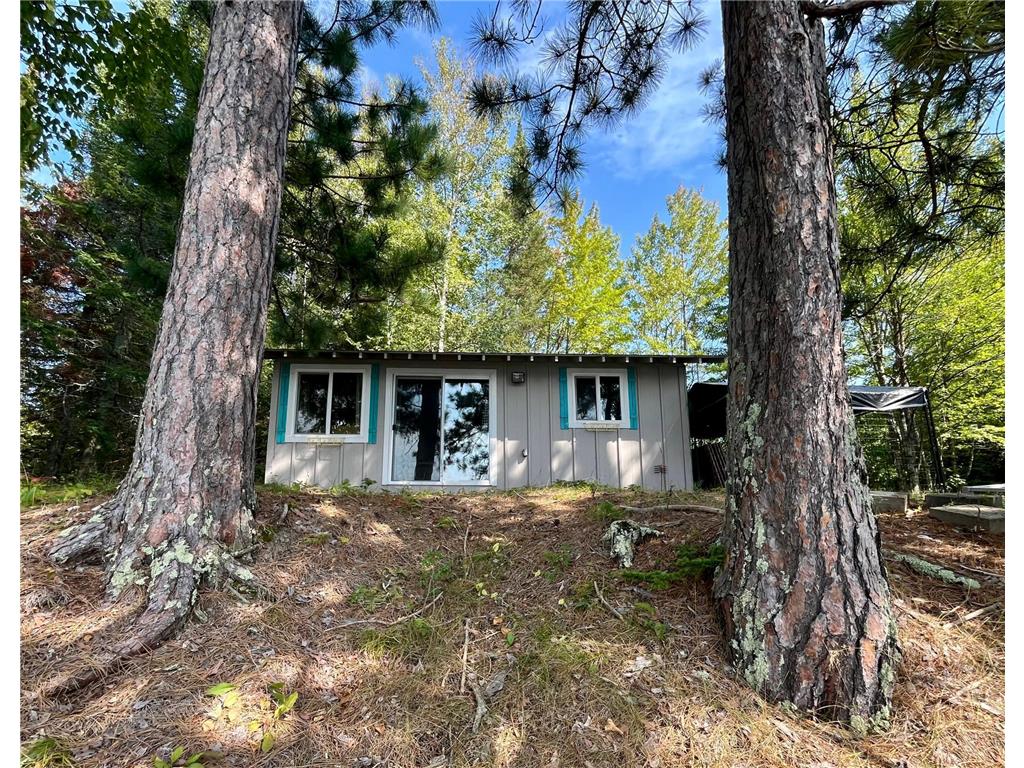 49607 E Long Lake Forest rd Bigfork MN 56628 - Long Lake 6600716 image1