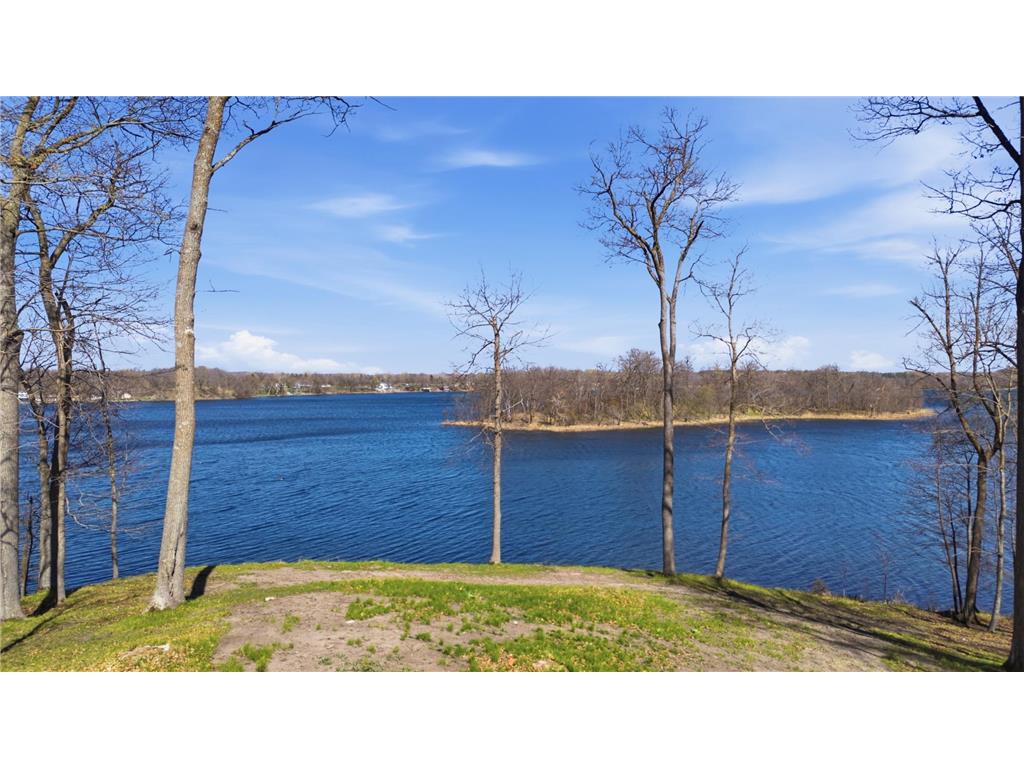 49612 Leek Lake Drive Candor Twp MN 56587 - Leek Lake 7068102 image1