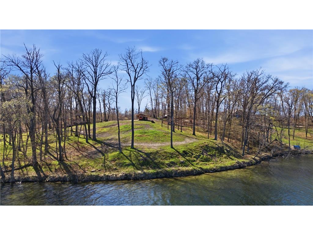 49612 Leek Lake Drive Candor Twp MN 56587 - Leek Lake 7068102 image3