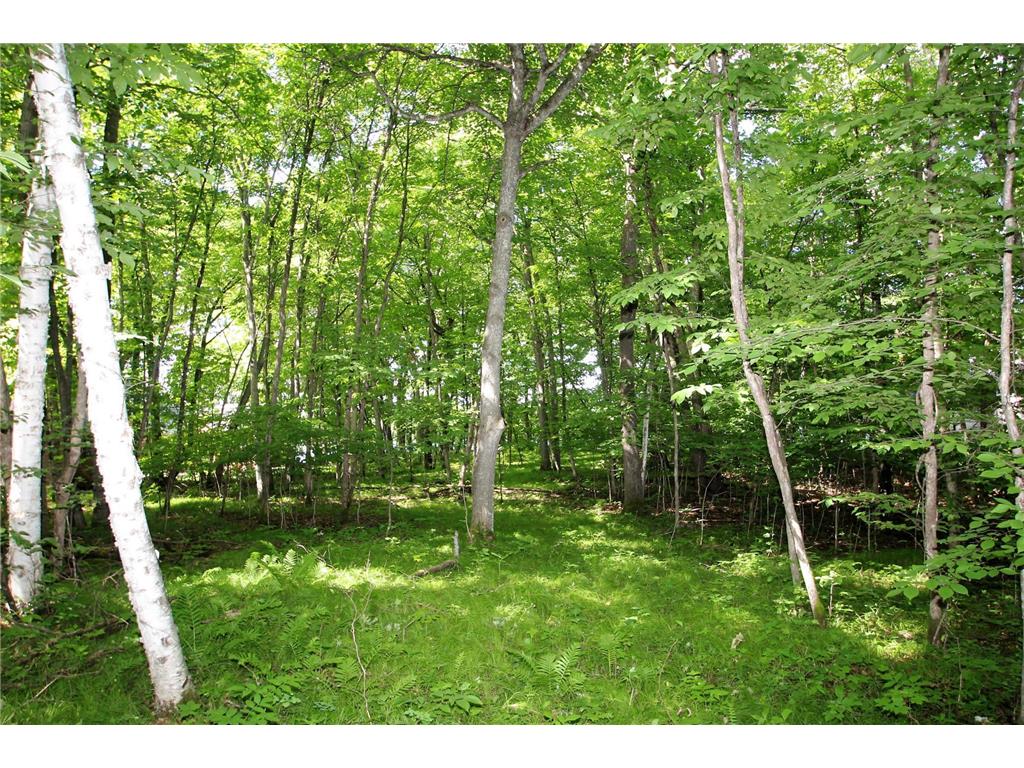 4967X Fish Lake Road Pelican Rapids MN 56572 - Pelican 7048765 image1