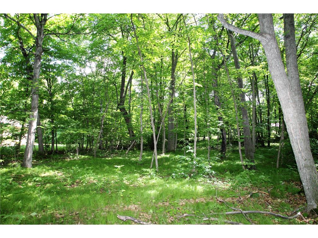 4967X Fish Lake Road Pelican Rapids MN 56572 - Pelican 7048765 image10