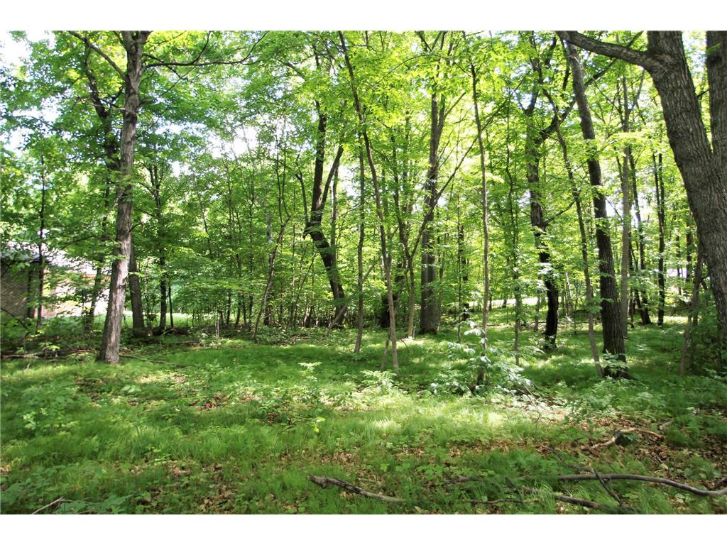 4967X Fish Lake Road Pelican Rapids MN 56572 - Pelican 7048765 image11