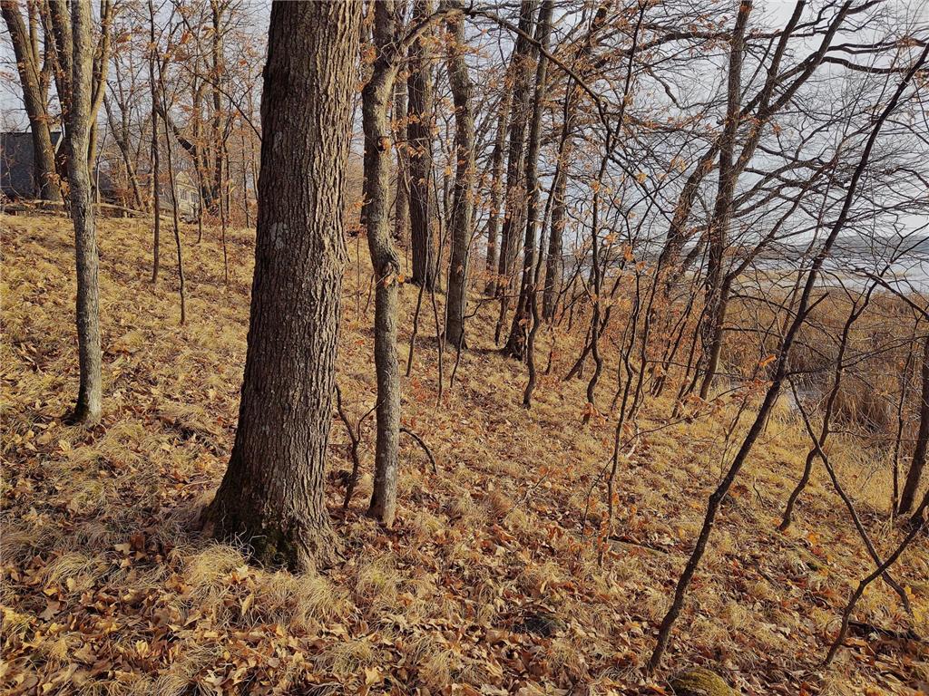 4967X Fish Lake Road Pelican Rapids MN 56572 - Pelican 7048765 image13