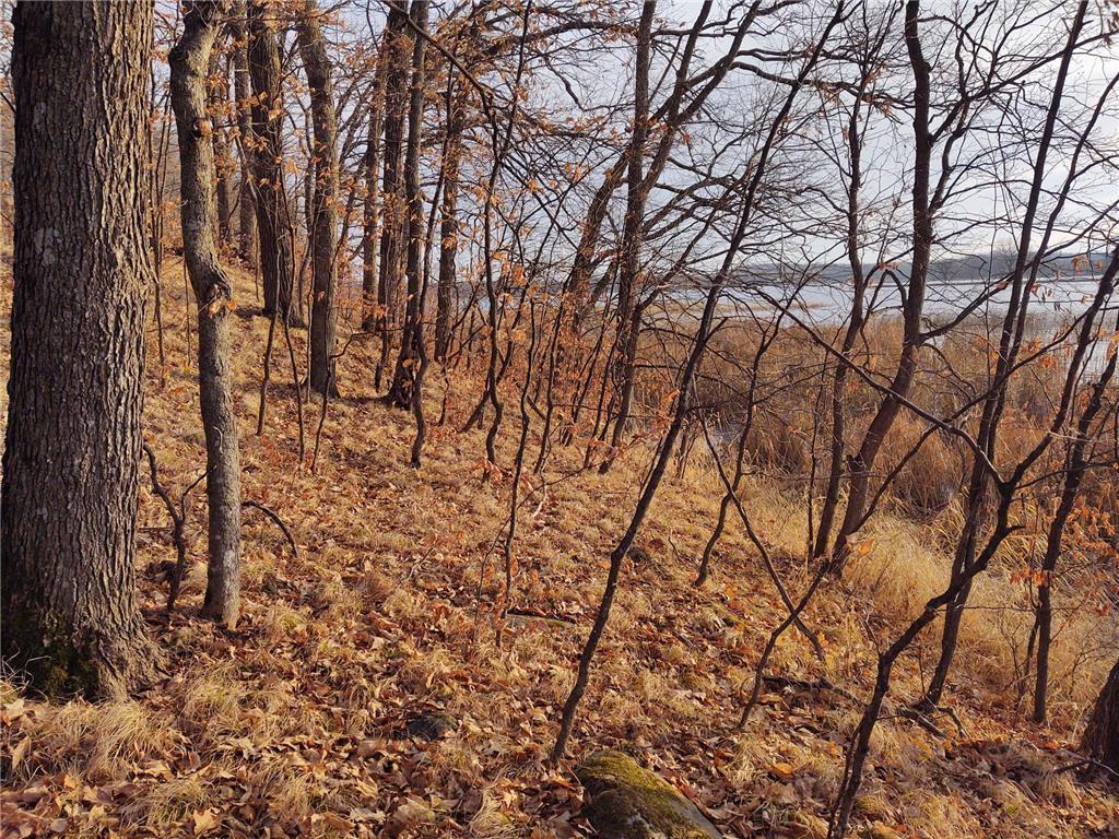 4967X Fish Lake Road Pelican Rapids MN 56572 - Pelican 7048765 image15