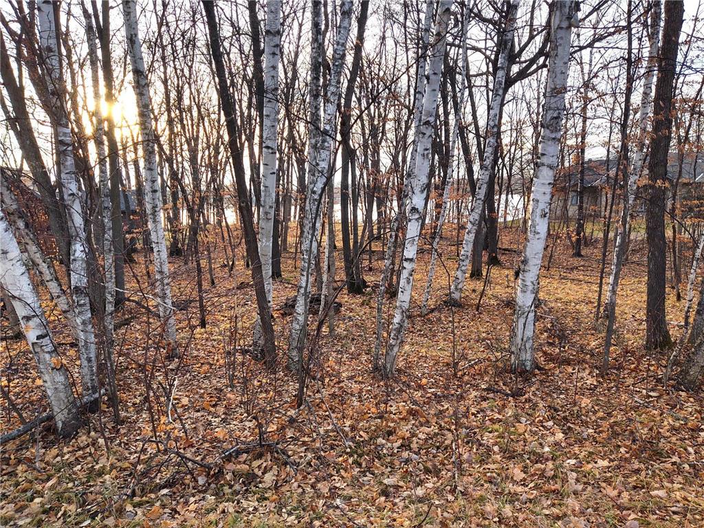 4967X Fish Lake Road Pelican Rapids MN 56572 - Pelican 7048765 image17