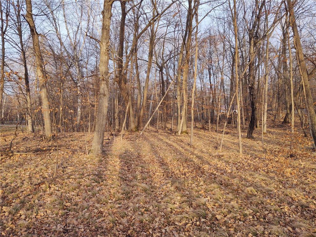 4967X Fish Lake Road Pelican Rapids MN 56572 - Pelican 7048765 image19