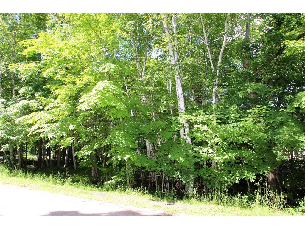 4967X Fish Lake Road Pelican Rapids MN 56572 - Pelican 7048765 image5