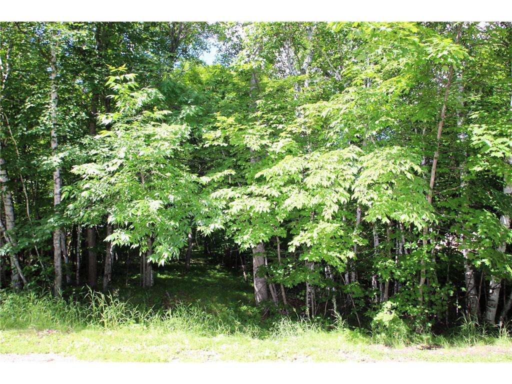 4967X Fish Lake Road Pelican Rapids MN 56572 - Pelican 7048765 image6