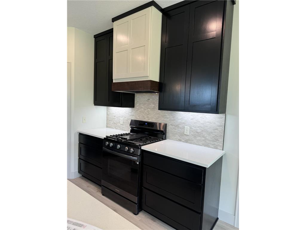 4969 Noble Drive NW Rochester MN 55901 6822406 image4