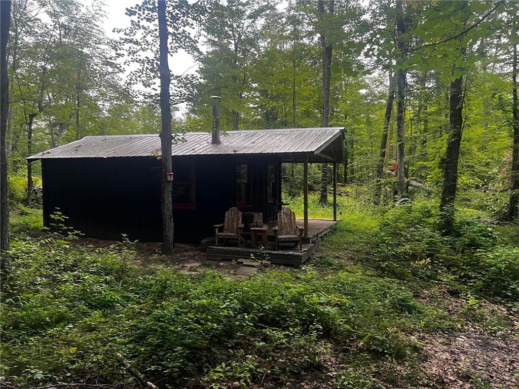 49760 197th Avenue Shamrock Twp MN 55760 6779550 image1