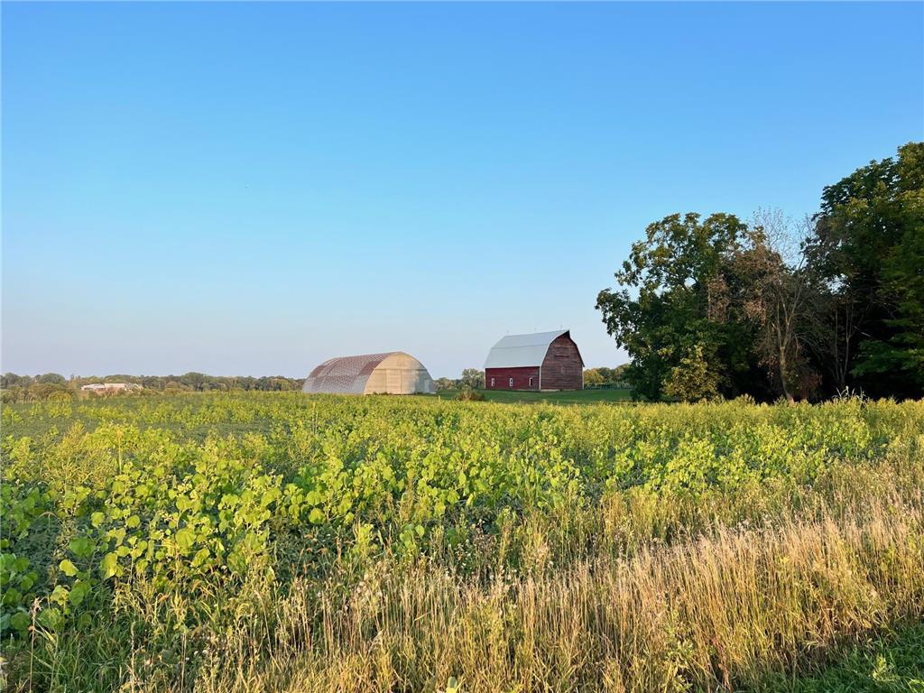 498 Kuntz Drive Independence MN 55359 6427077 image1