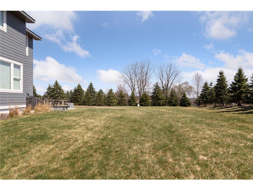 4985 Sunflower Place Woodbury MN 55129 7058144 image93