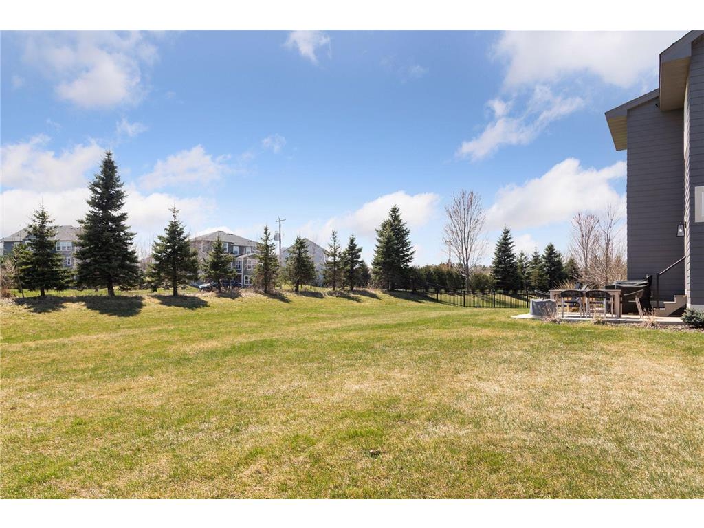 4985 Sunflower Place Woodbury MN 55129 7058144 image97
