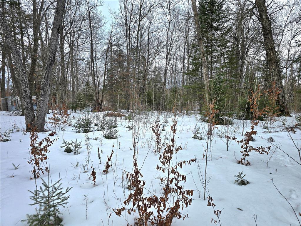 4988 32nd Avenue NE Remer MN 56672 7021954 image2