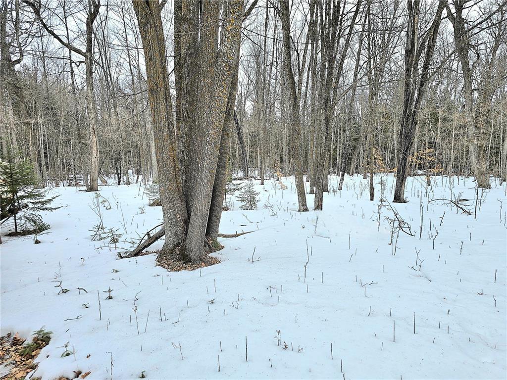 4988 32nd Avenue NE Remer MN 56672 7021954 image3