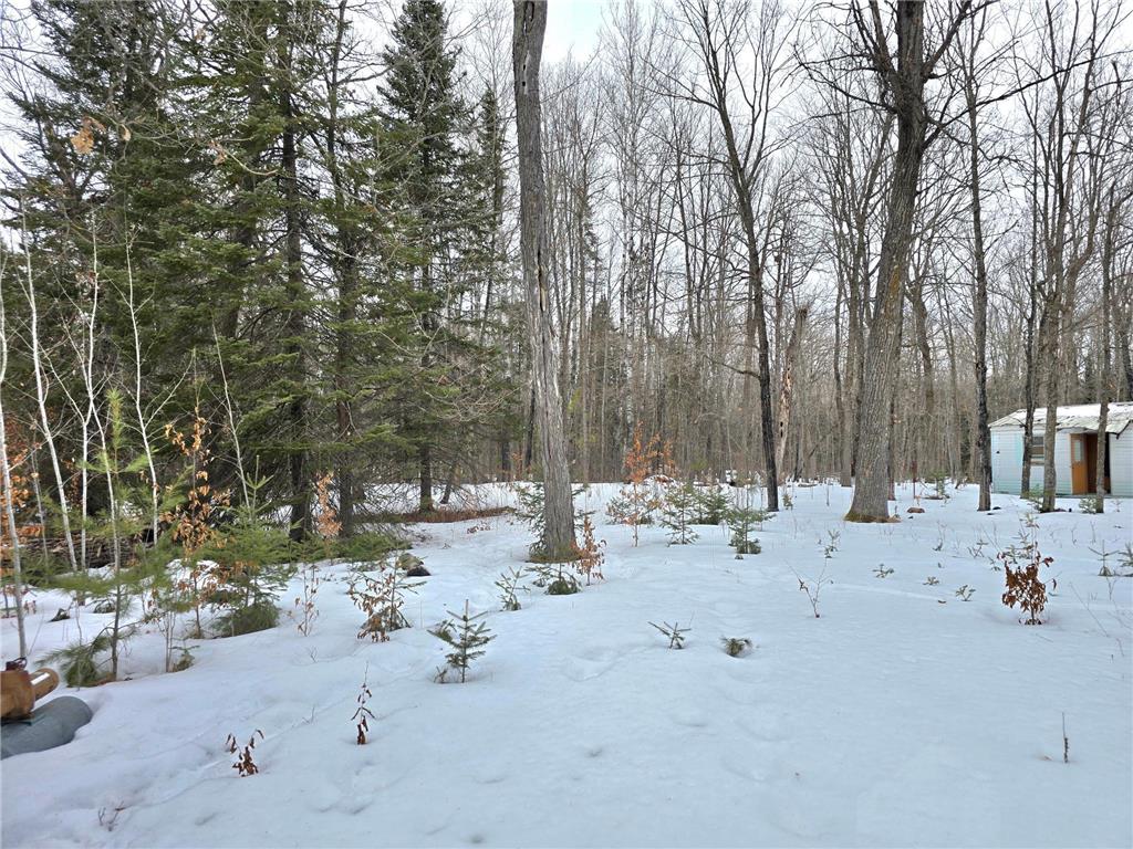 4988 32nd Avenue NE Remer MN 56672 7021954 image4