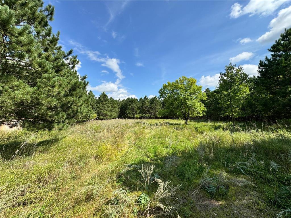49928 County Highway 54 New York Mills MN 56567 7048988 image17