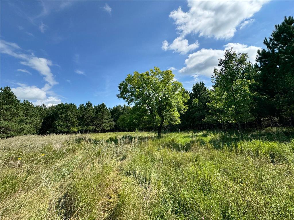 49928 County Highway 54 New York Mills MN 56567 7048988 image18