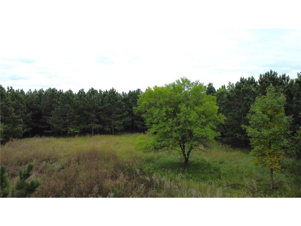 49928 County Highway 54 New York Mills MN 56567 7048988 image26