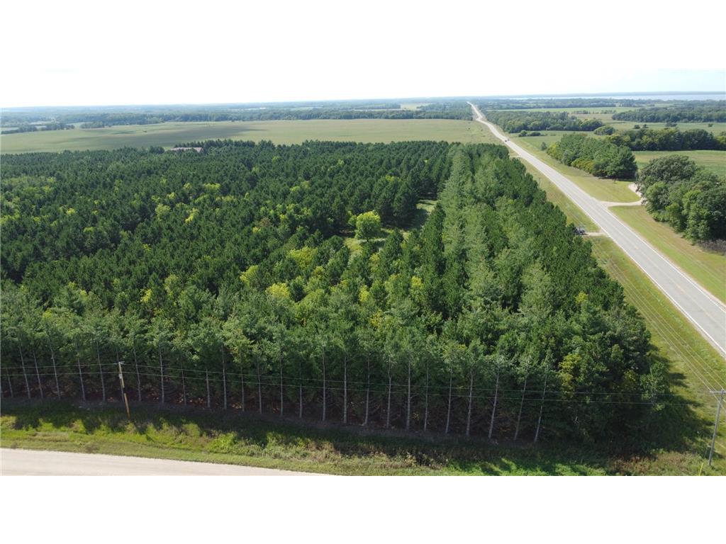 49928 County Highway 54 New York Mills MN 56567 7048988 image3