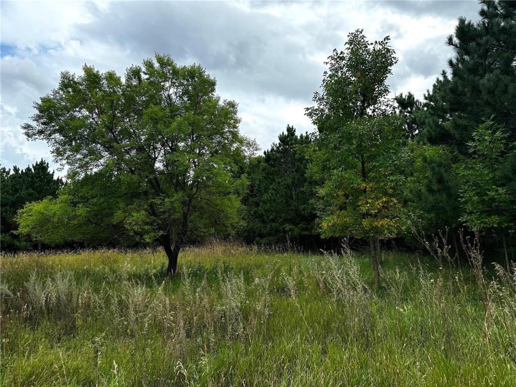 49928 County Highway 54 New York Mills MN 56567 7048988 image30
