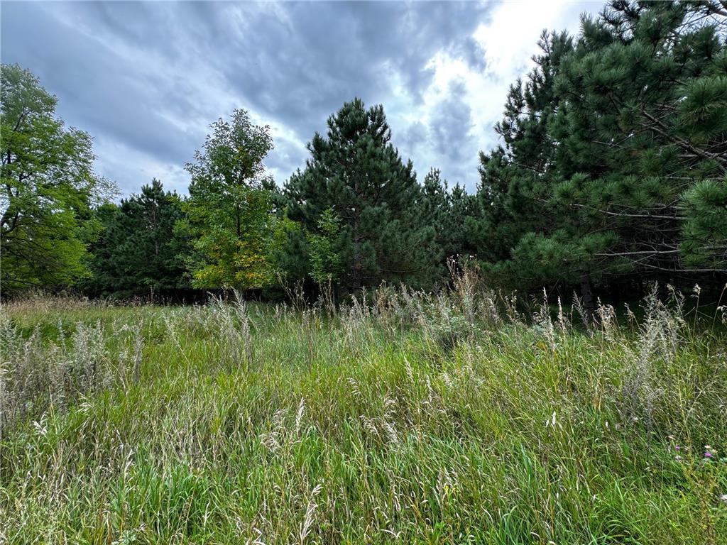 49928 County Highway 54 New York Mills MN 56567 7048988 image33