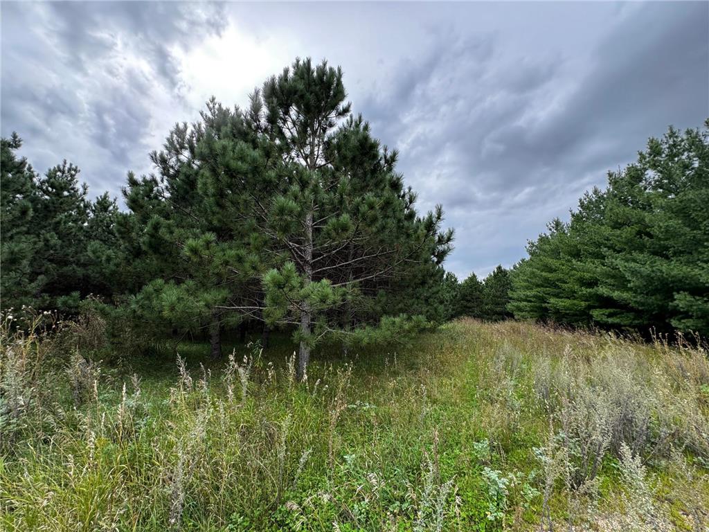 49928 County Highway 54 New York Mills MN 56567 7048988 image34