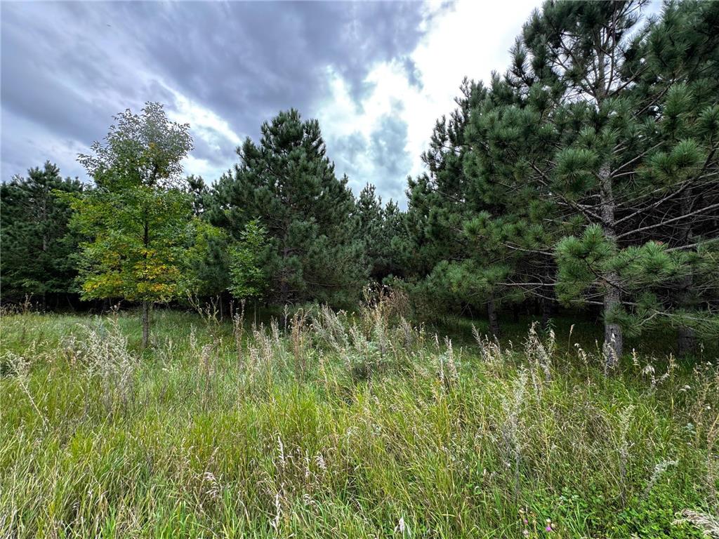 49928 County Highway 54 New York Mills MN 56567 7048988 image35