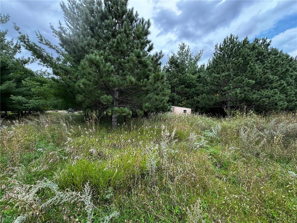 49928 County Highway 54 New York Mills MN 56567 7048988 image36