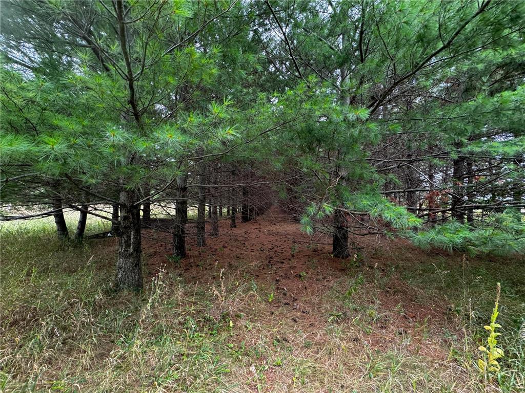 49928 County Highway 54 New York Mills MN 56567 7048988 image37