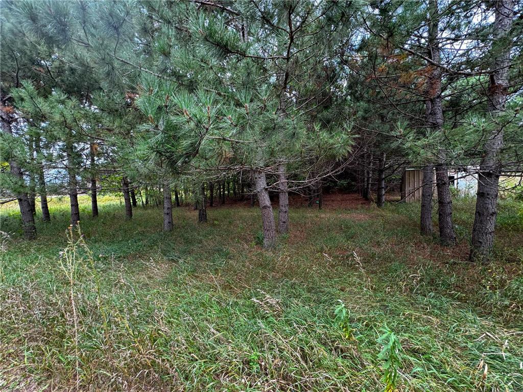 49928 County Highway 54 New York Mills MN 56567 7048988 image38
