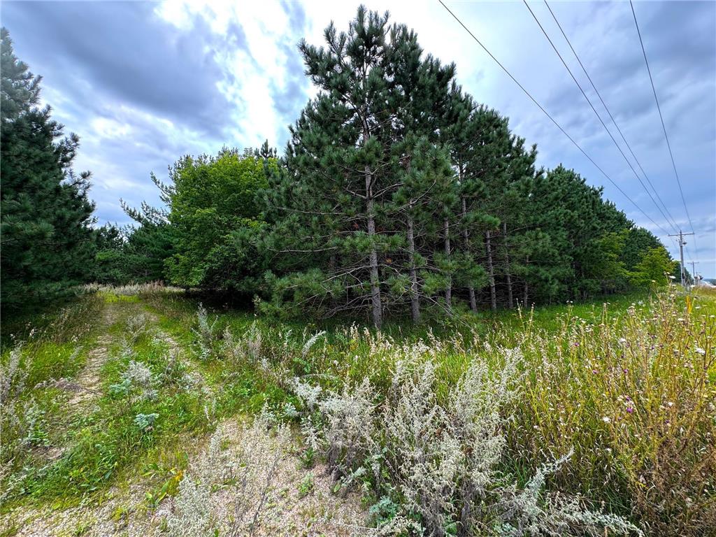 49928 County Highway 54 New York Mills MN 56567 7048988 image40