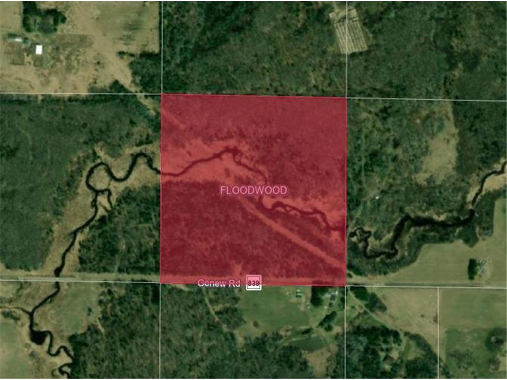 49XX Genew Rd Floodwood Twp MN 55736 6355522 image1