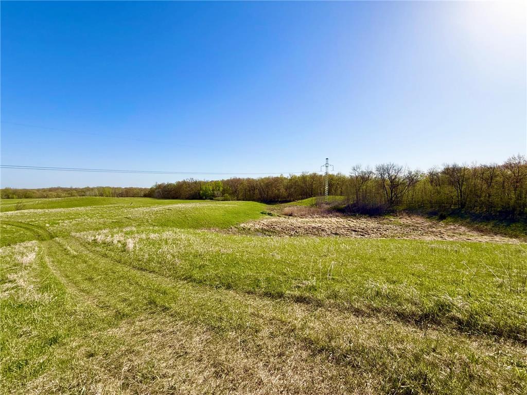 49XXX US Highway 59 Detroit Lakes MN 56501 7075319 image14
