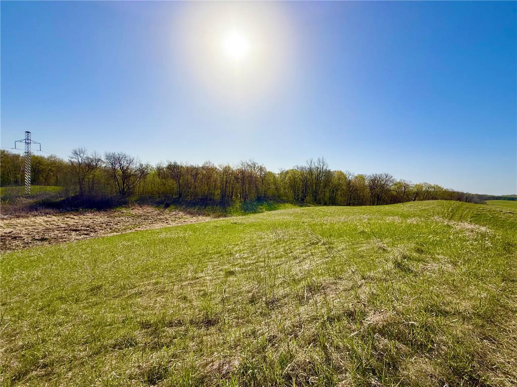 49XXX US Highway 59 Detroit Lakes MN 56501 7075319 image15