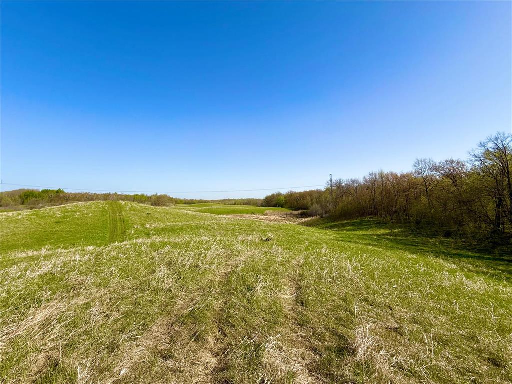 49XXX US Highway 59 Detroit Lakes MN 56501 7075319 image9