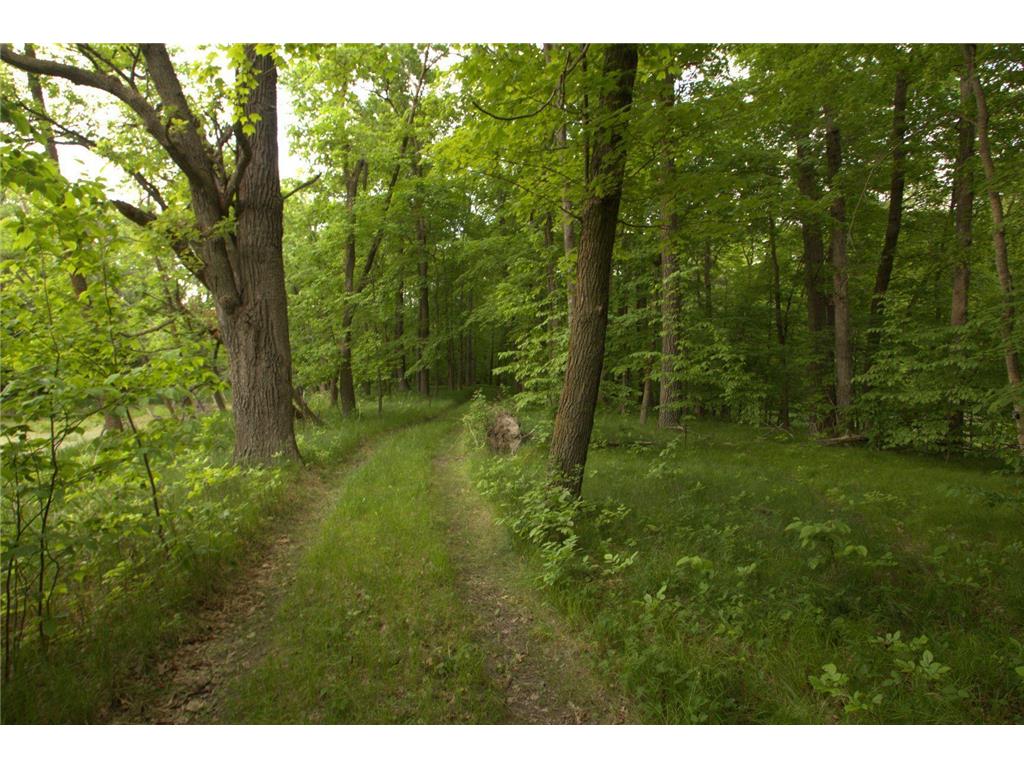 4XXXX E Lake Lizzie Rd Lida Twp MN 56572 - Franklin Lake 6555544 image2