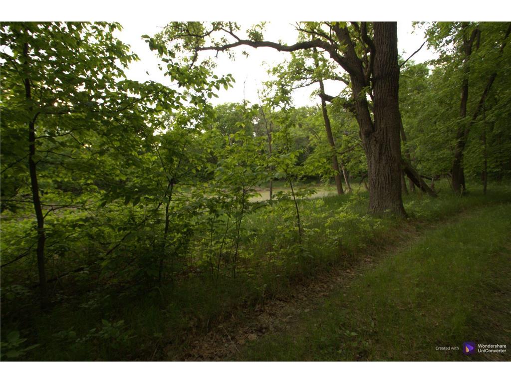 4XXXX E Lake Lizzie Rd Lida Twp MN 56572 - Franklin Lake 6555544 image3