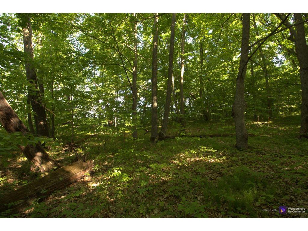 4XXXX E Lake Lizzie Rd Lida Twp MN 56572 - Franklin Lake 6555544 image4