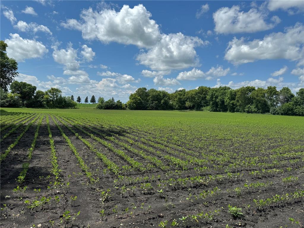 4th Street Echo MN 56237 6563951 image1