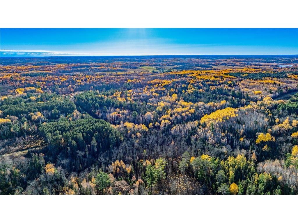 5 County Hway 49 Akeley MN 56433 6813742 image10