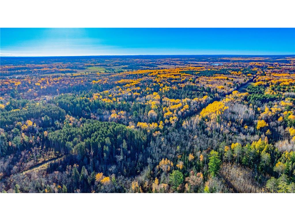 5 County Hway 49 Akeley MN 56433 6813742 image12