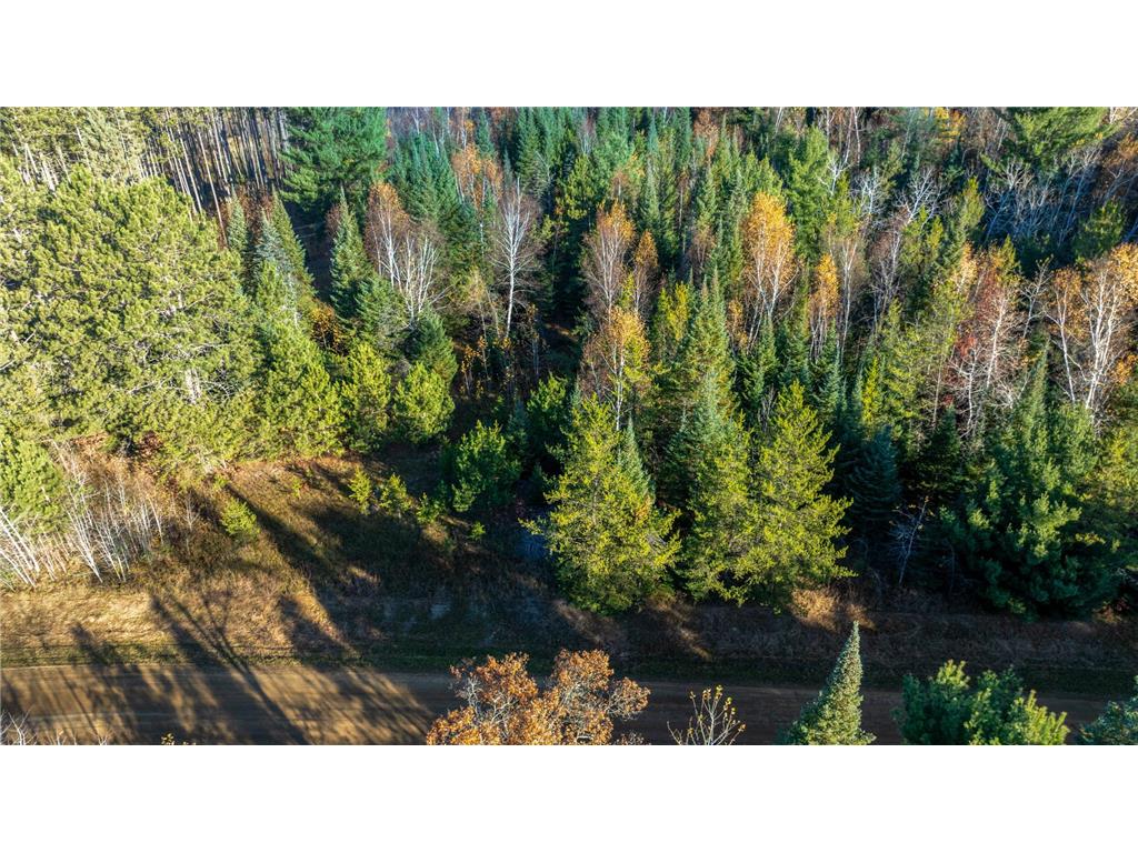 5 County Hway 49 Akeley MN 56433 6813742 image13