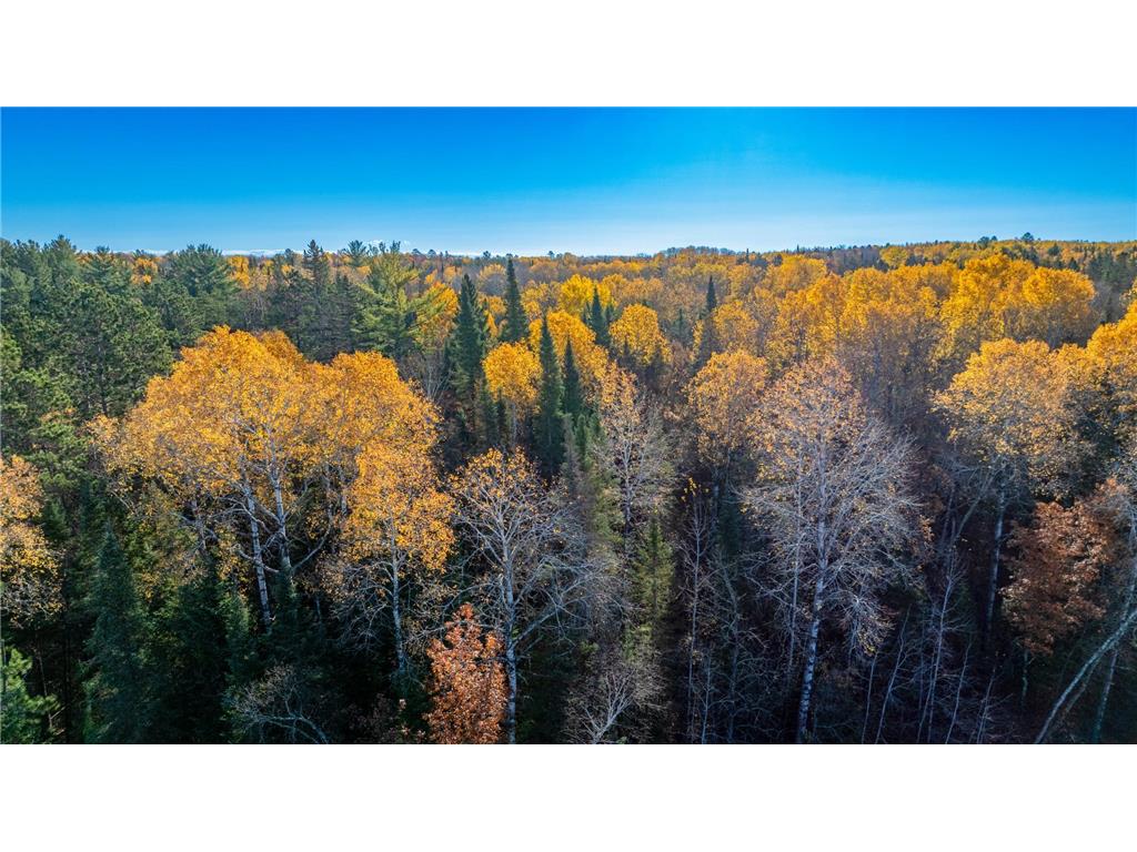 5 County Hway 49 Akeley MN 56433 6813742 image15