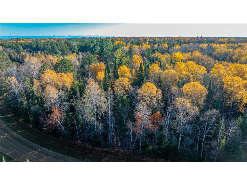 5 County Hway 49 Akeley MN 56433 6813742 image16