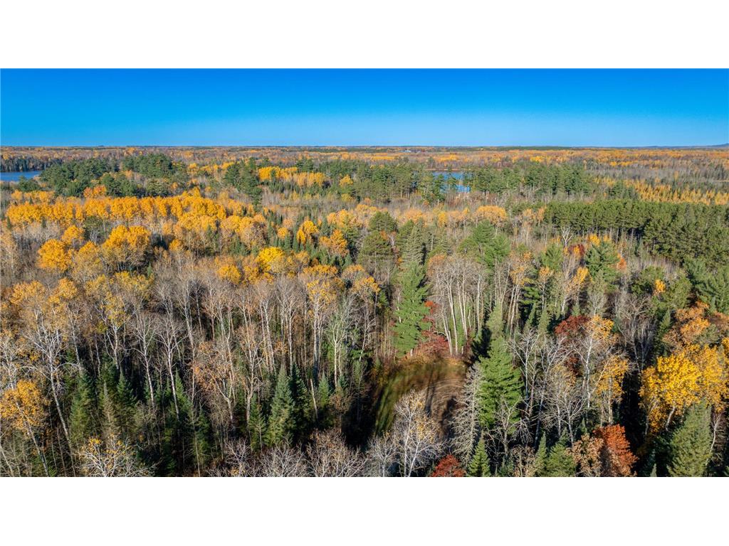 5 County Hway 49 Akeley MN 56433 6813742 image17