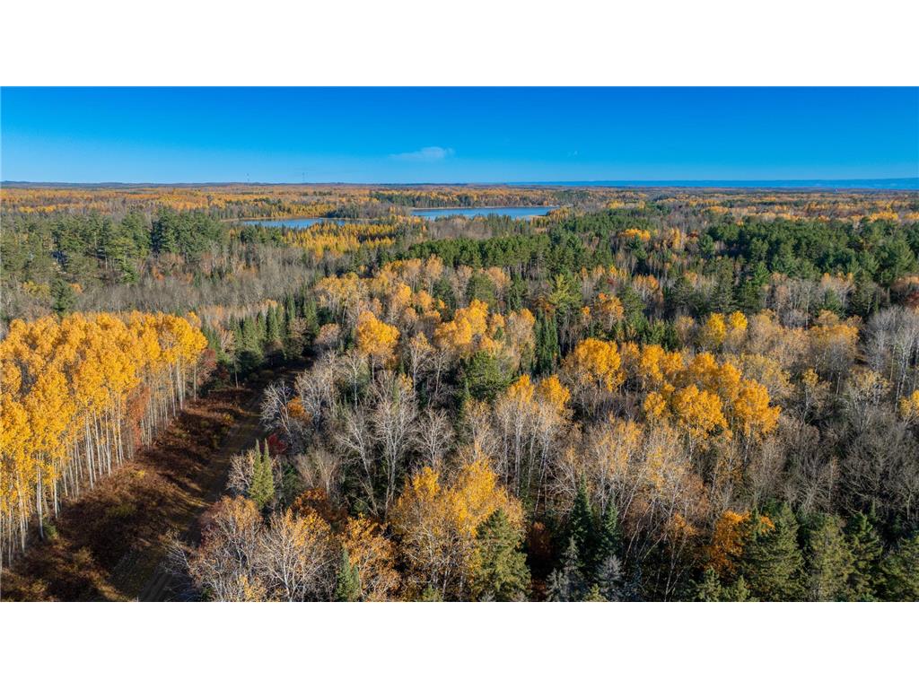 5 County Hway 49 Akeley MN 56433 6813742 image19